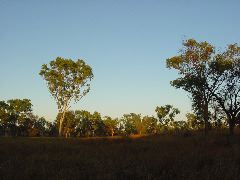 DSC00041.JPG