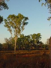 DSC00044.JPG