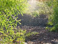 DSC00048.JPG