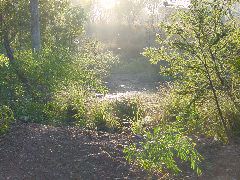 DSC00049.JPG