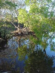 DSC00050.JPG