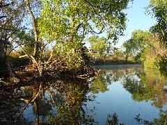 DSC00051.JPG