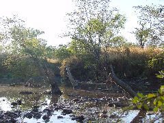 DSC00052.JPG
