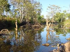 DSC00053.JPG