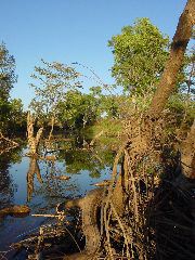 DSC00054.JPG
