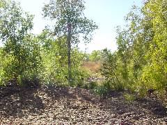 DSC00057.JPG