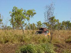 DSC00058.JPG