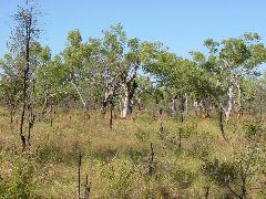 DSC00066.JPG