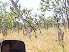 DSC00067.JPG