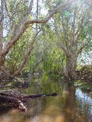 DSC00071.JPG