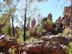 DSC00073.JPG