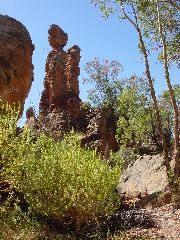 DSC00074.JPG