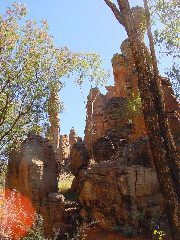 DSC00076.JPG