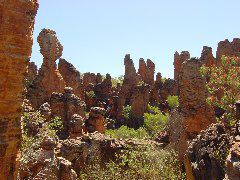DSC00078.JPG