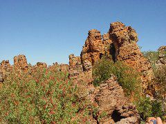 DSC00080.JPG