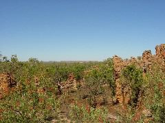 DSC00081.JPG