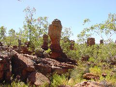 DSC00085.JPG
