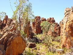 DSC00002.JPG