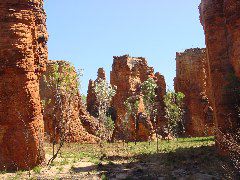 DSC00008.JPG