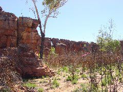 DSC00009.JPG
