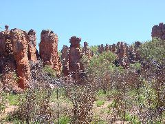 DSC00010.JPG