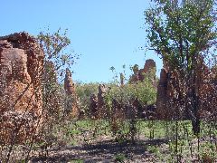 DSC00012.JPG