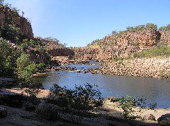 P7130008.JPG