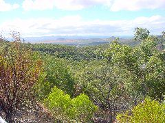 DSC00011.JPG