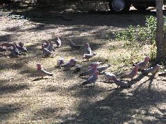 P7050041.JPG
