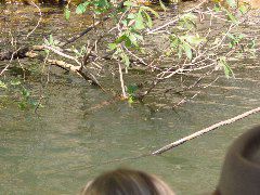 DSC00021.JPG