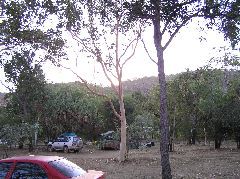P7140042.JPG