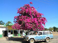 P7050043.JPG