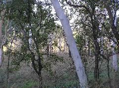 P7140045.JPG