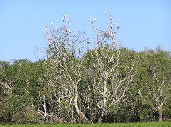 P7150090.JPG