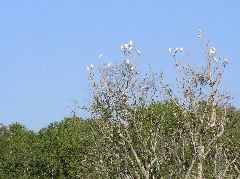 P7150091.JPG