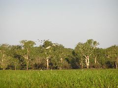 P7150132.JPG