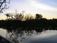 P7150167.JPG