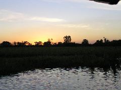 P7150179.JPG