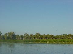 DSC00054.JPG