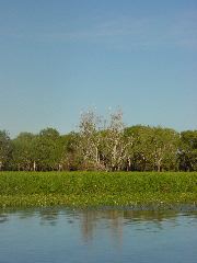 DSC00055.JPG