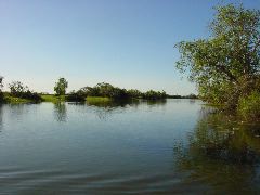 DSC00056.JPG