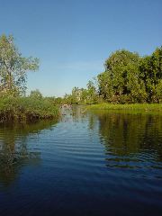DSC00057.JPG