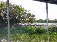 DSC00058.JPG