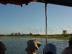 DSC00059.JPG