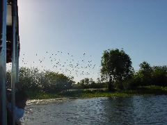 DSC00060.JPG