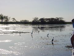 DSC00062.JPG