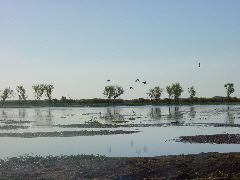DSC00063.JPG