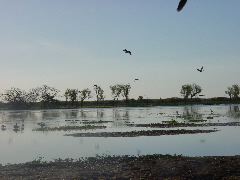 DSC00064.JPG