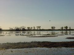 DSC00066.JPG