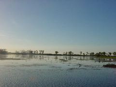 DSC00069.JPG